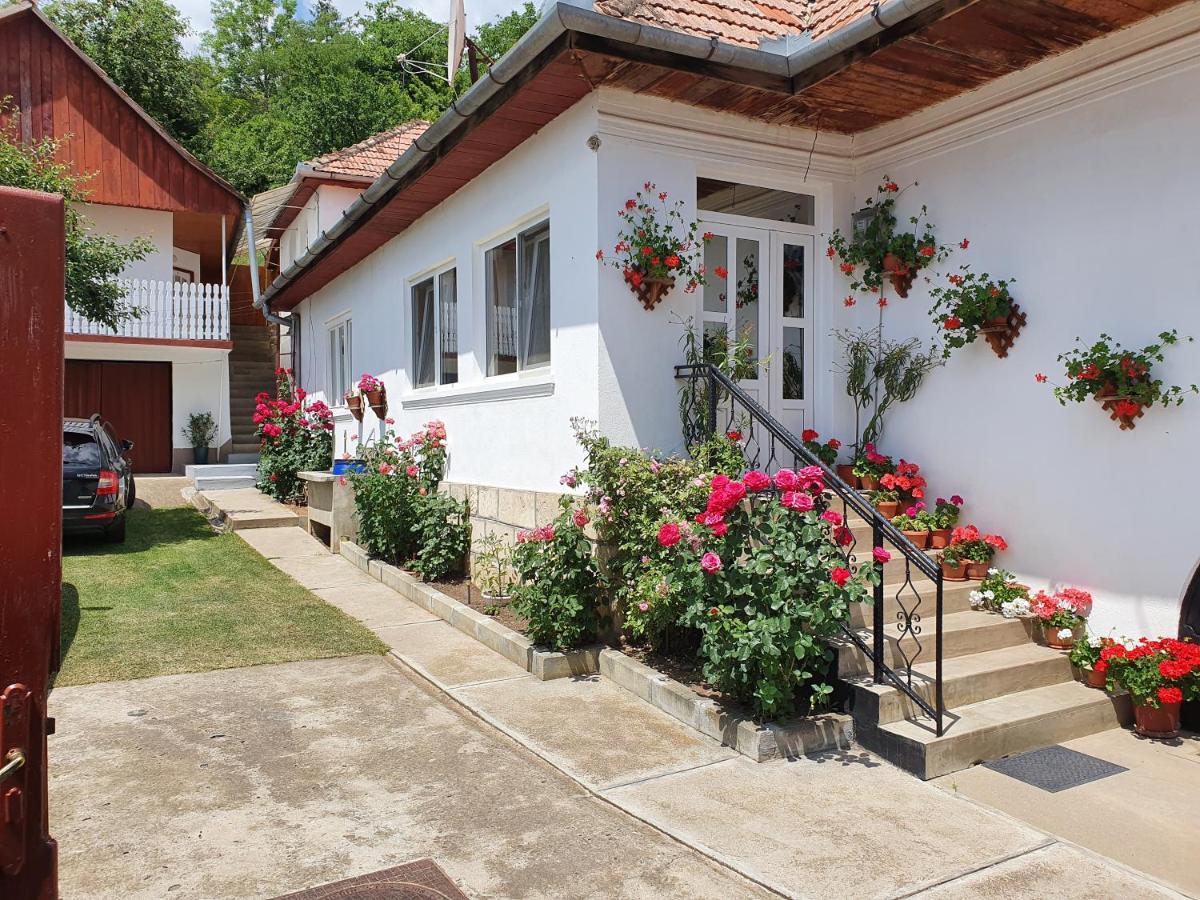 Bed and Breakfast Rozsa Panzio Ріметя Екстер'єр фото